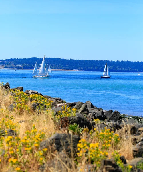 Frente al mar Tacoma con vista panorámica — Foto de Stock