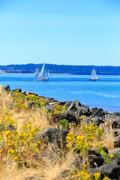 Tacoma havnefront med panoramaudsigt - Stock-foto