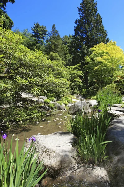 Tacoma, Wa - 12 juni 2010: Japanse tuin in Seattle, Wa. Stenen met irissen en vijver — Stockfoto