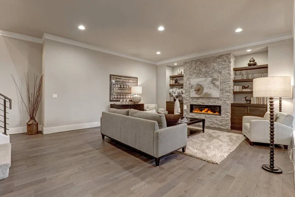 Elegantní obývací pokoj interiér v šedé barvy — Stock fotografie