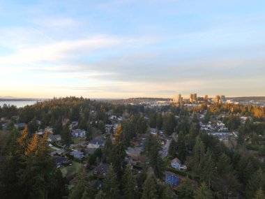 Bellevue şehir merkezindeki bir yerleşim bölgesinde hava panoramik fotoğraf