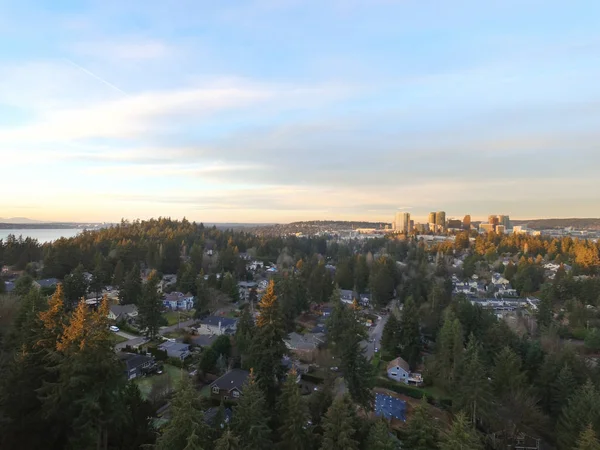 Bellevue şehir merkezindeki bir yerleşim bölgesinde hava panoramik fotoğraf