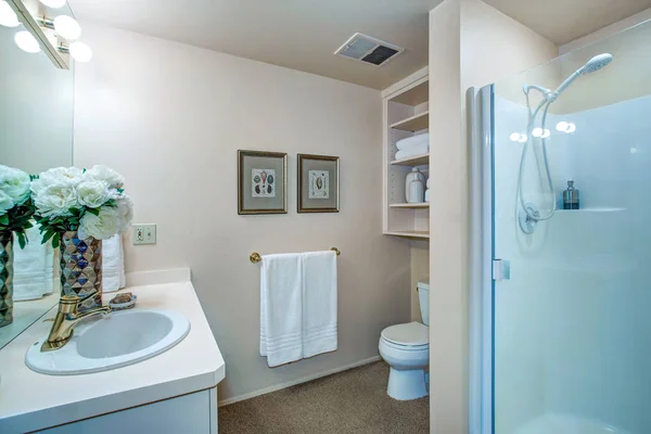 Newly remodeled bathroom with neutral walls — Stock Photo, Image