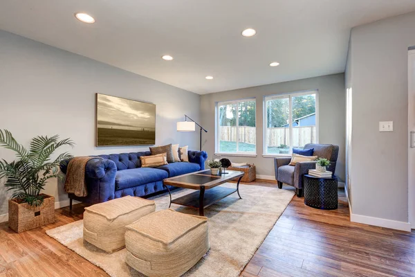 Gezellig licht gevuld leefruimte geaccentueerd met warme blauwe muren — Stockfoto