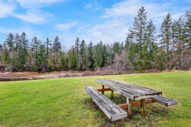Boş ahşap piknik masası, yeşil çim ve nehir Nisqually görünümünü. 