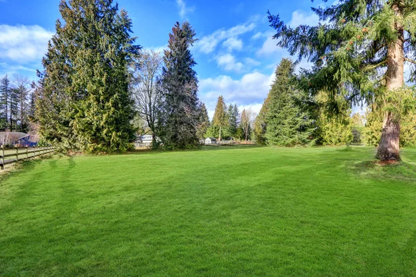 Ruime omheinde achtertuin gevuld met groen gras — Stockfoto
