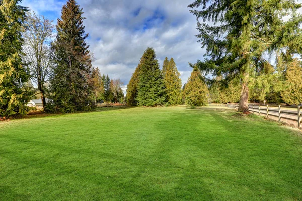 Rymliga inhägnad bakgård fylld med grönt gräs — Stockfoto