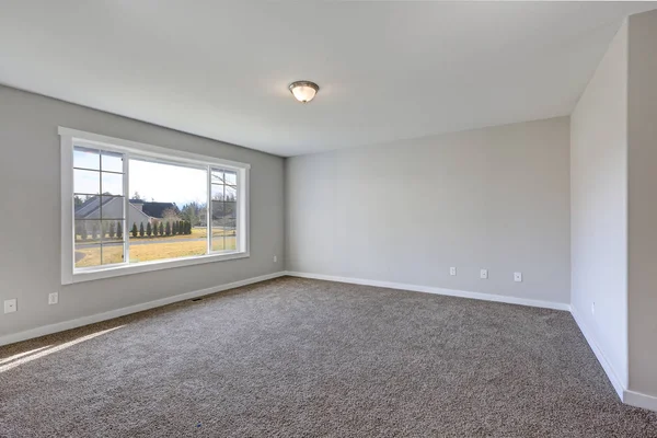 Empty pale grey room interior with carpet floor. — Stock Photo, Image