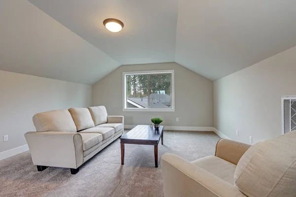 Gewelfd plafond Familiekamer interieur met grijze verf kleur — Stockfoto
