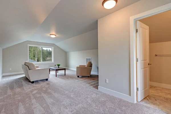 Tonozlu tavan aile odası iç gri boya rengi ile — Stok fotoğraf