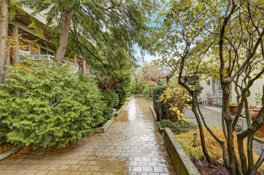 Apartmanın dış Bellevue