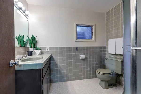 Baño contemporáneo cuenta con paredes grises suaves — Foto de Stock