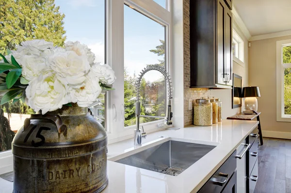 Krásná kuchyň s elegantním kondenzátorový kohoutek — Stock fotografie