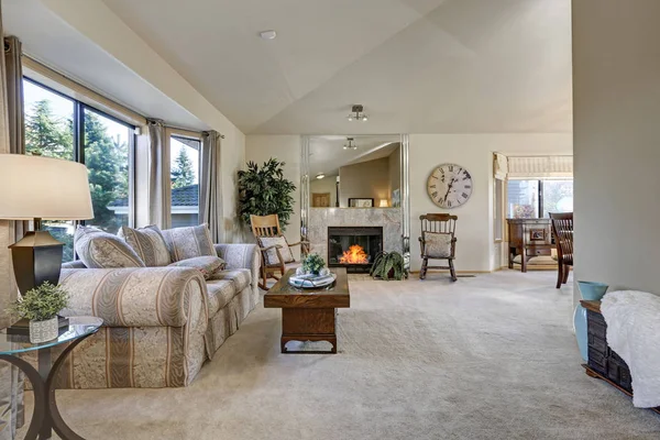 Light filled family room with vaulted ceiling — Stock Photo, Image