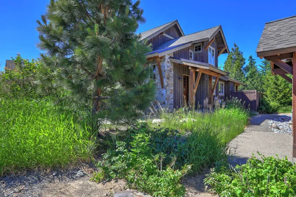 Casa Rustica Legno Grigio Con Pini Fiori Erba Durante Estate — Foto Stock