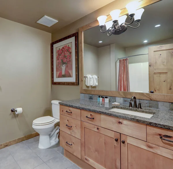 美丽的大的自然色调休闲浴室内部木制元素不错 — 图库照片
