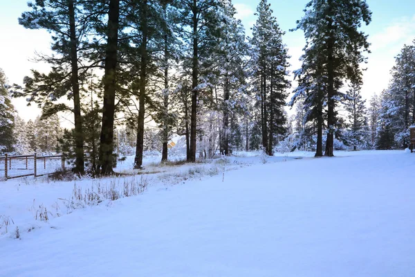 Neige Couvert Beau Paysage Rustique Vieux Pays Américain Avec Pont — Photo