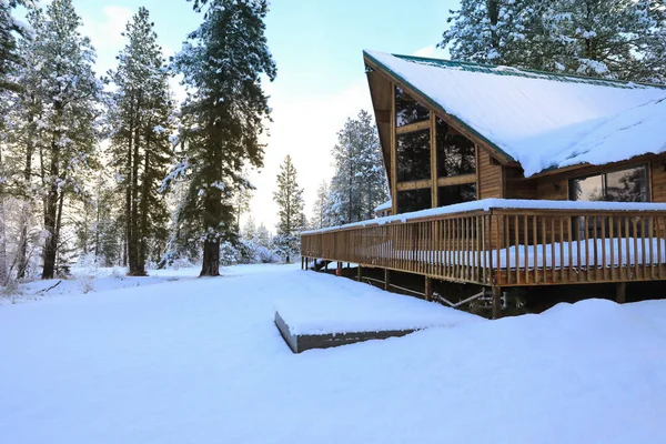 Winterland Dengan Pohon Pinus Dan Eksterior Rumah Pegunungan — Stok Foto