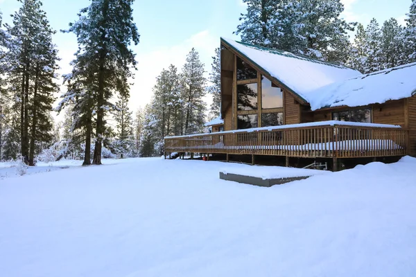 Winterland Dengan Pohon Pinus Dan Eksterior Rumah Pegunungan — Stok Foto