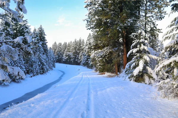 Sneeuw Bedekt Prachtige Oude Amerikaanse Rustieke Landschap Met Brug Trail — Stockfoto