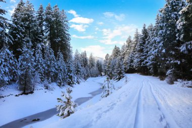Kar, köprüsü, patikası ve su kanalıyla güzel, eski Amerikan kırsal bölgesini kaplamıştı. Huzurlu ve ilham verici..