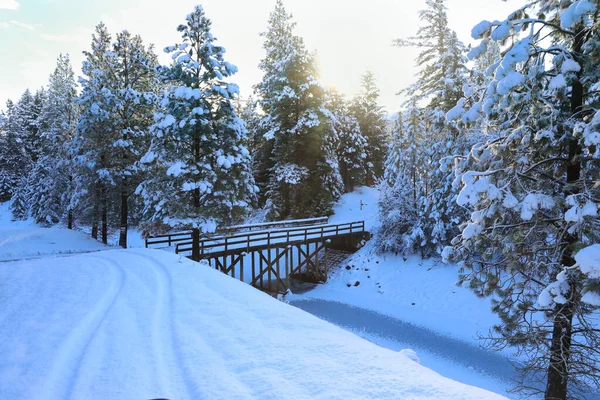 Neige Couvert Beau Paysage Rustique Vieux Pays Américain Avec Pont — Photo