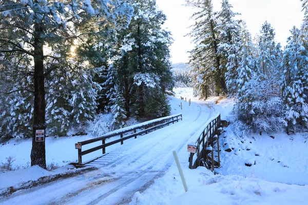 雪は美しい古いアメリカの素朴な田舎の風景を橋 水路で覆いました 心安らぐ — ストック写真