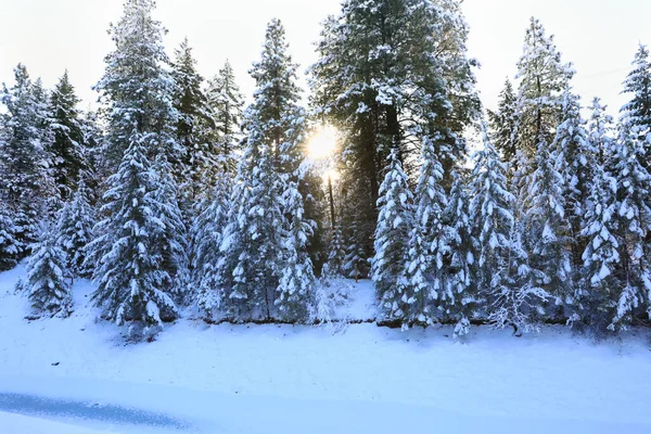 Snötäckt Vackert Gammalt Amerikanskt Lantligt Landskap Med Bro Stig Och — Stockfoto