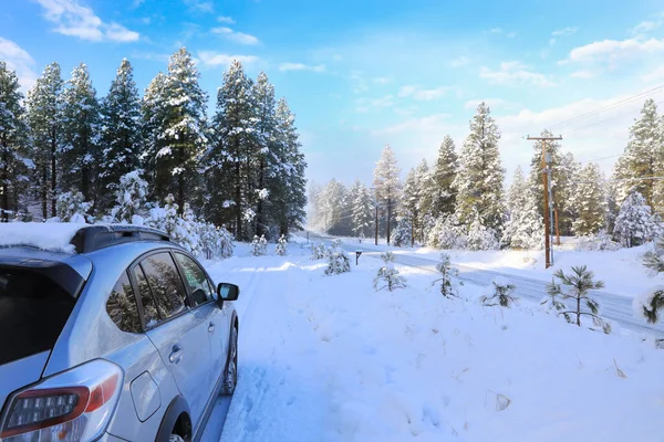 Winter Street Med Massor Snö Med Privat Uppfart Och Bil — Stockfoto