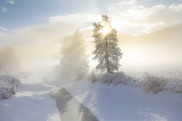 겨울에는 미국의 풍경에 눈으로 자동차 울타리가 — 스톡 사진