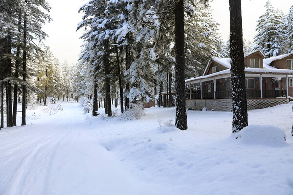 Winterland with pine trees and house exterior in the mountains.
