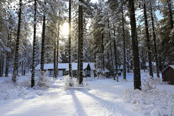 Winterland with pine trees and house exterior in the mountains.