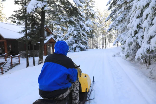 松の木や家と山の中でスノーモービルに乗る男 — ストック写真