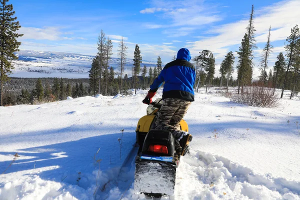 Uomo Cavallo Motoslitta Montagna Con Pini Case — Foto Stock