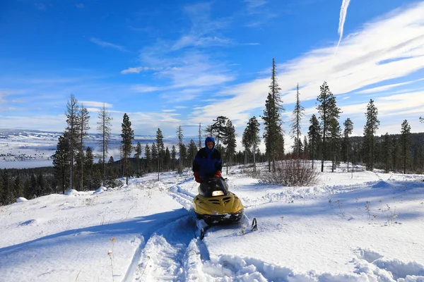 Man Rijden Sneeuwscooter Bergen Met Pijnbomen Huizen — Stockfoto