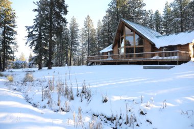 Orman, çam ağaçları ve kar seyyar rayları olan karlı kulübe..