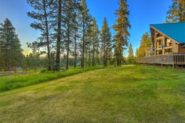 Çam ağaçları, dağlar ve güzel dağ evi elma şarabı olan doğa..