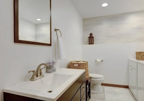 纯白色的新可爱的浴室内饰 带有自然的乡村气息 配有洗衣机和烘干机 — 图库照片