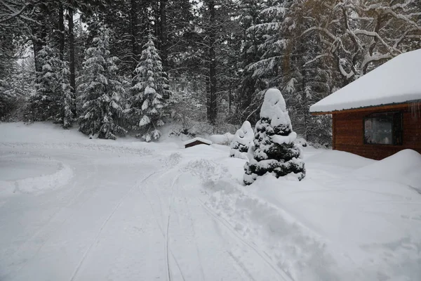 Winter Snowy Cabin House Exterior Forest Pine Trees Snow Mobile — Stock Photo, Image