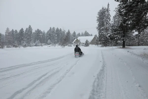 Cabina Invernale Innevata Esterna Con Bosco Pini Piste Motoslitte — Foto Stock