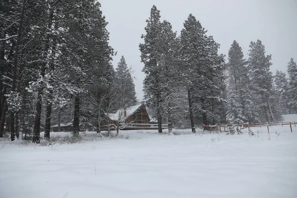 Invierno Cabaña Nevada Exterior Con Bosque Pinos Pistas Nieve Móvil —  Fotos de Stock