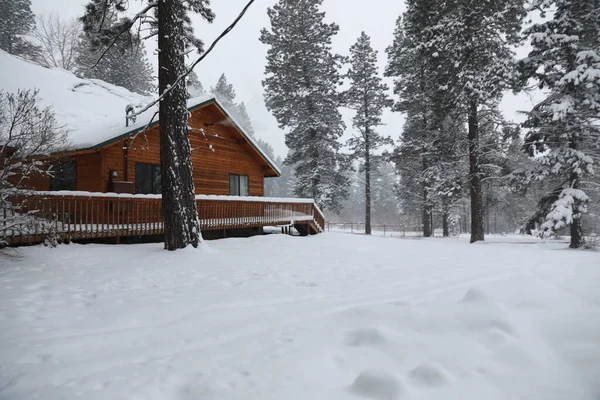 Winter Snowy Cabin House Exterior Forest Pine Trees Snow Mobile — Stock Photo, Image