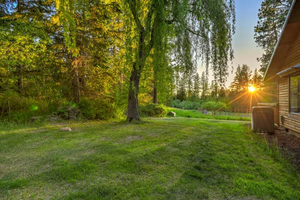 Příroda Borovicemi Horami Krásná Chata Mošt Domácí Exteriér — Stock fotografie