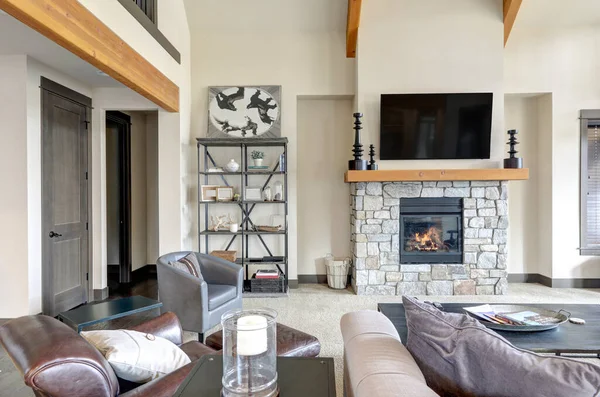 豪华家居客厅室内设计新颖 具有现代质朴的自然色调家具 具有2019年最新细节的高端美国家庭 — 图库照片