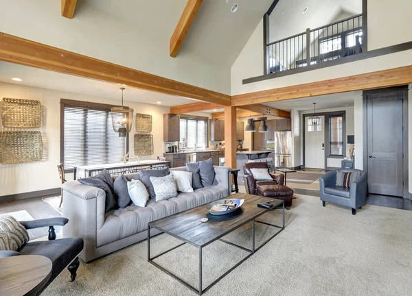 豪华家居客厅室内设计新颖 具有现代质朴的自然色调家具 具有2019年最新细节的高端美国家庭 — 图库照片