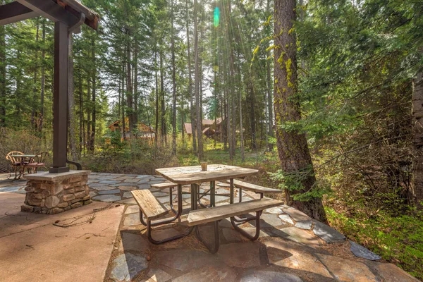 后院里是西雅图附近的森林 冬天过后长满了参天大树 尘土飞扬的桌子和长椅 — 图库照片