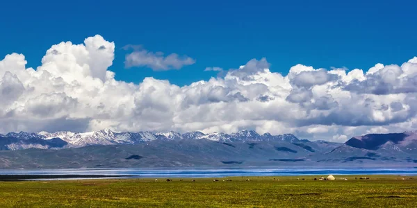 Hagyományos legelő a magas hegyekben. Kirgizisztán. Son Kol-tó — Stock Fotó