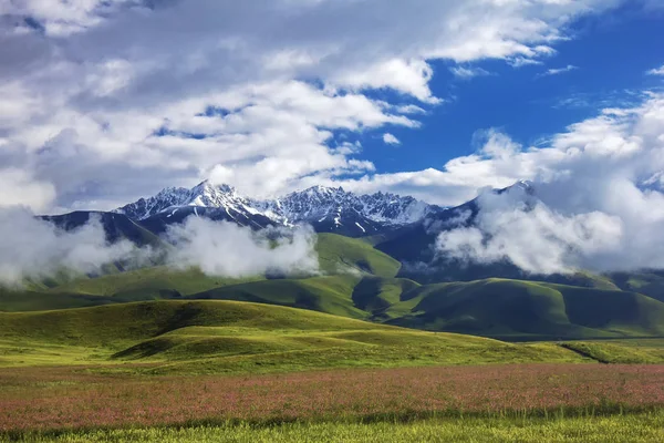 白雪覆盖的山脉和碧绿的草地 — 图库照片