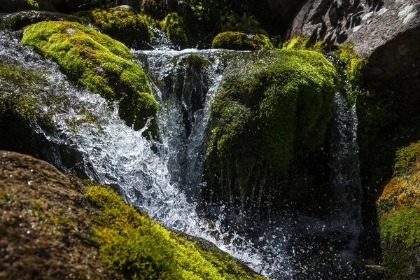 Water splashes of a mountain stream among mossy stones