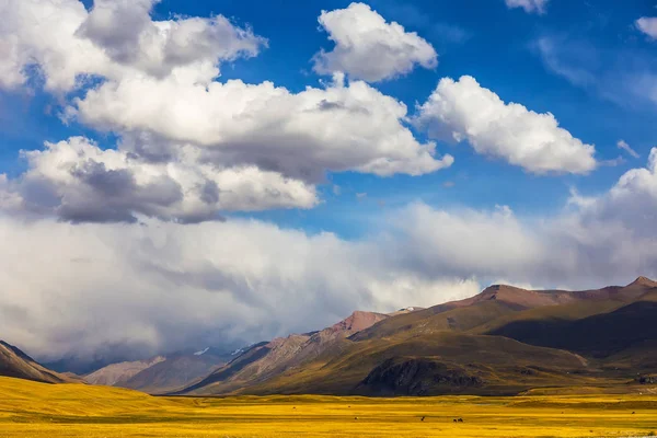 Górskie krajobrazy. Dolina rzeki Burkan. Kirgistan — Zdjęcie stockowe